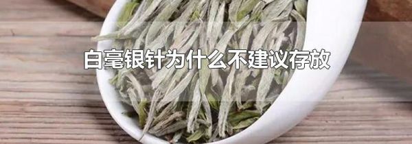 白毫银针为什么不建议存放