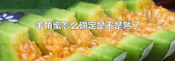 羊角蜜怎么确定是不是熟了