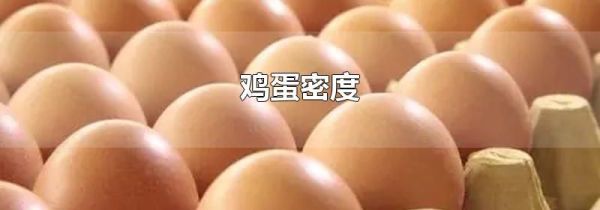 鸡蛋密度