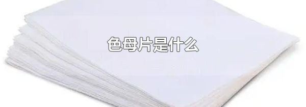 色母片是什么
