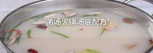 菌汤火锅汤底配方