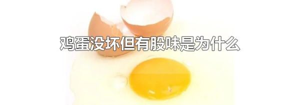 鸡蛋没坏但有股味是为什么