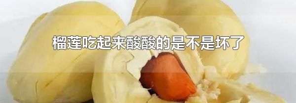 榴莲吃起来酸酸的是不是坏了