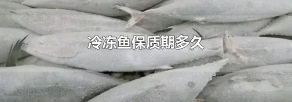 冷冻鱼保质期多久