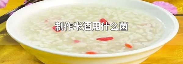 制作米酒用什么菌