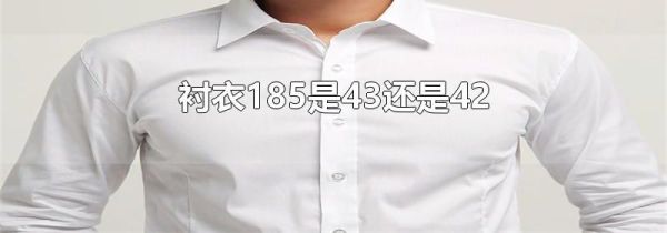 衬衣185是43还是42
