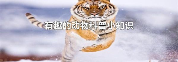有趣的动物科普小知识