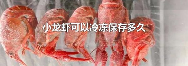 小龙虾可以冷冻保存多久