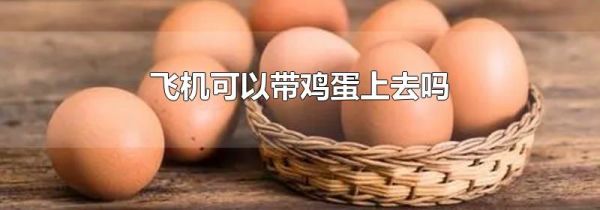 飞机可以带鸡蛋上去吗