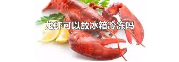 龙虾可以放冰箱冷冻吗