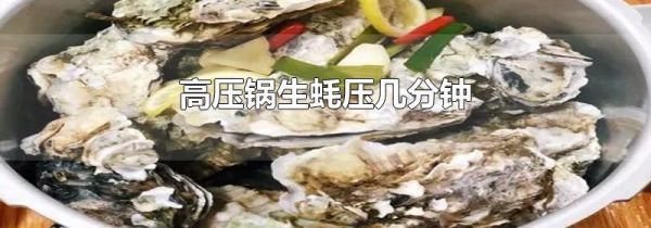 高压锅生蚝压几分钟