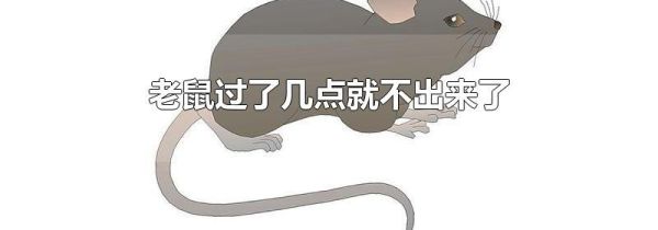 老鼠过了几点就不出来了