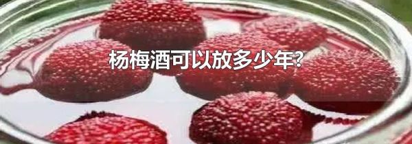 杨梅酒可以放多少年?
