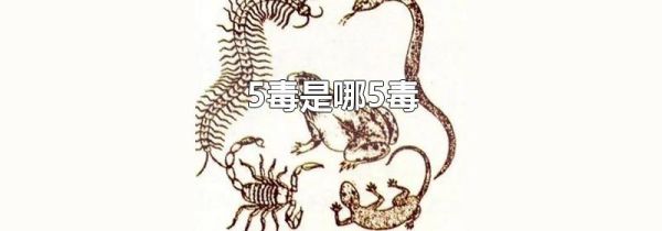 5毒是哪5毒