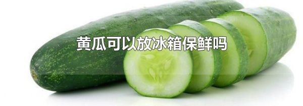 黄瓜可以放冰箱保鲜吗