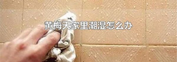 黄梅天家里潮湿怎么办