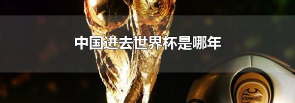 中国进去世界杯是哪年