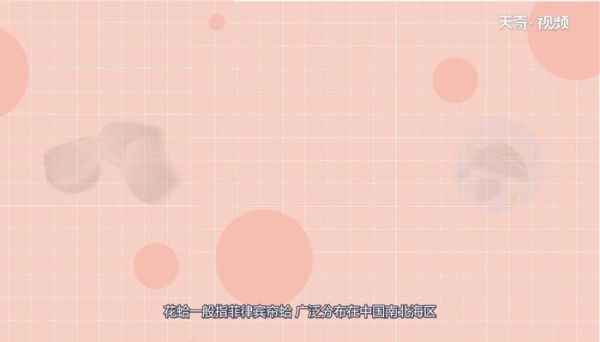 花蛤是海鲜还是河鲜 花蛤是海鲜还是河鲜呢