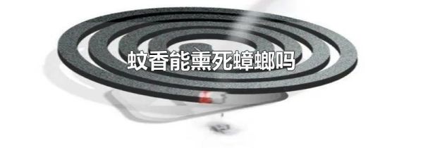 蚊香能熏死蟑螂吗