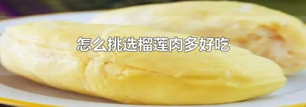 怎么挑选榴莲肉多好吃