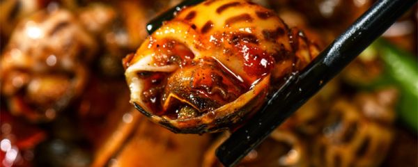 黄螺冷水煮还是开水煮 煮黄螺是冷水还是热水