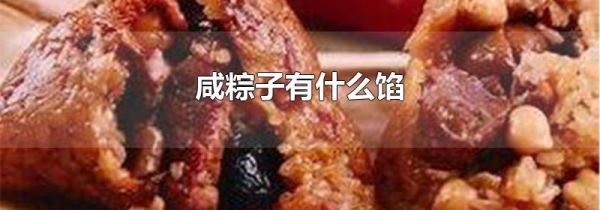 咸粽子有什么馅
