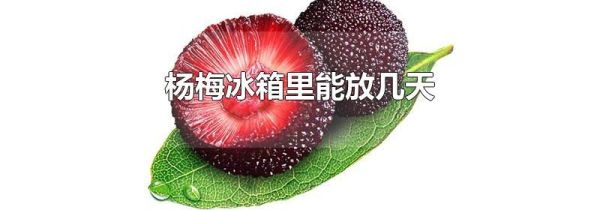 杨梅冰箱里能放几天