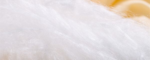 蚕丝被有什么好处 蚕丝被有啥好处