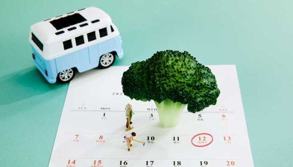 三月的别称和雅称 三月的别称和雅称是什么