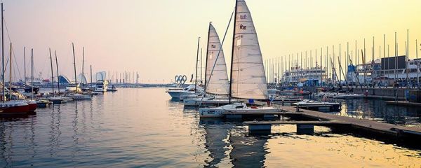 陶邑是现在的哪里 陶邑是现在的什么地方