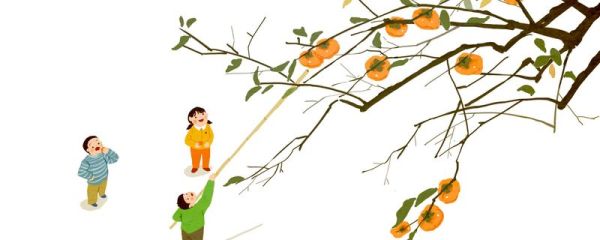 寒露是什么意思 寒露介绍