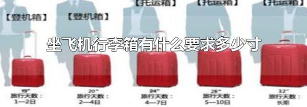 坐飞机行李箱有什么要求多少寸