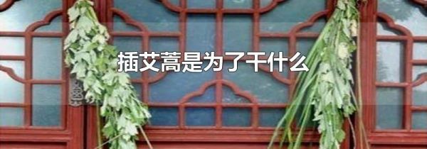 插艾蒿是为了干什么
