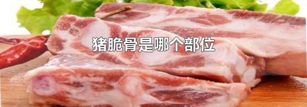 猪脆骨是哪个部位