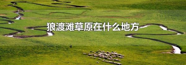 狼渡滩草原在什么地方