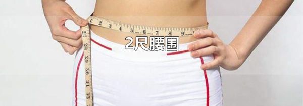2尺腰围