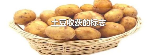 土豆收获的标志