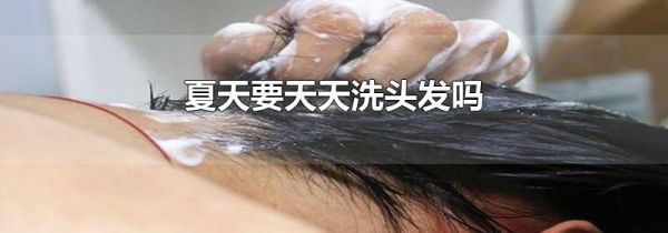 夏天要天天洗头发吗