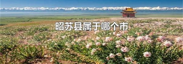 昭苏县属于哪个市