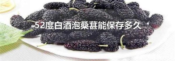 52度白酒泡桑葚能保存多久
