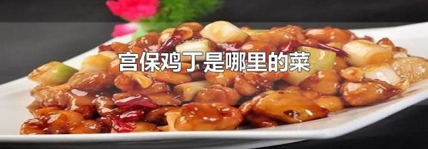 宫保鸡丁是哪里的菜