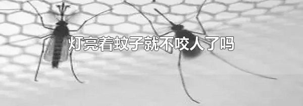 灯亮着蚊子就不咬人了吗