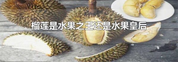 榴莲是水果之王还是水果皇后