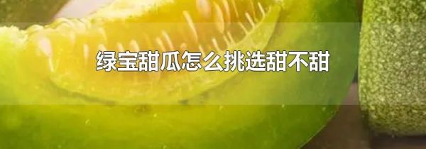 绿宝甜瓜怎么挑选甜不甜