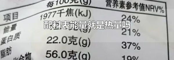 配料表能量就是热量吗