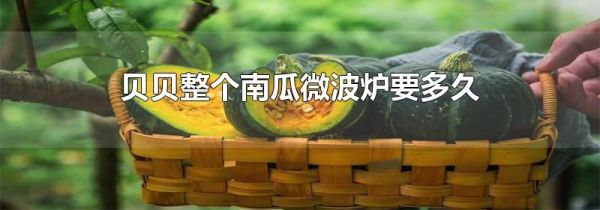 贝贝整个南瓜微波炉要多久