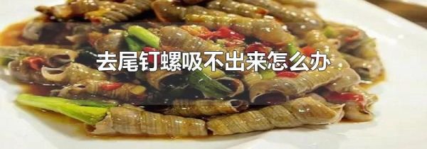去尾钉螺吸不出来怎么办
