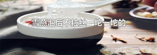 雪燕泡后不拉丝一坨一坨的