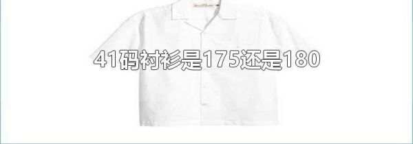 41码衬衫是175还是180