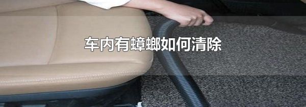 车内有蟑螂如何清除